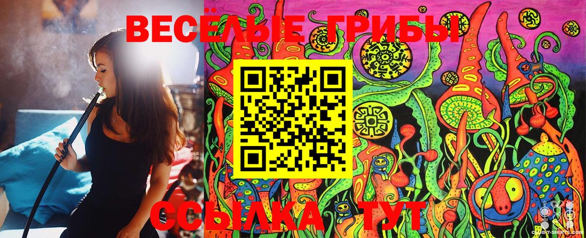 Псилоцибиновые грибы MAGIC MUSHROOMS Шахты